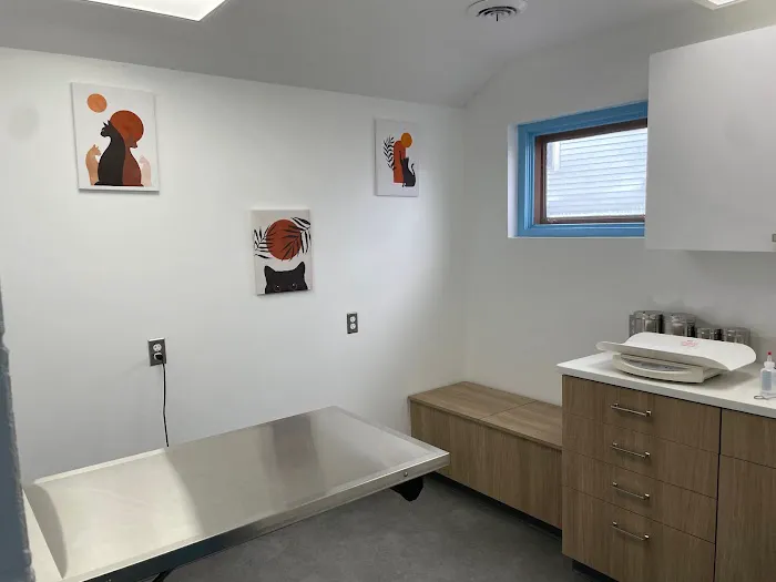 Unleashed Veterinary Dermatology Picture 10