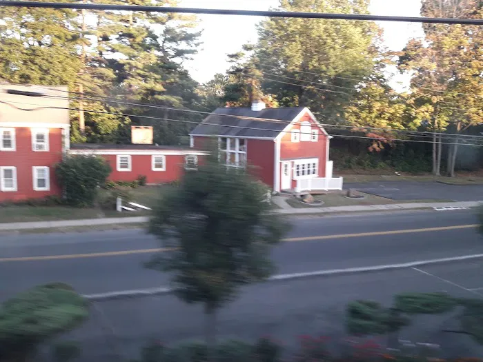 The Pet Hospital Of Stratford Picture 6