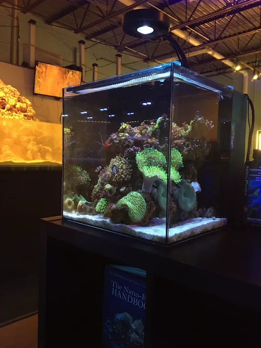 ReefCo Picture 3