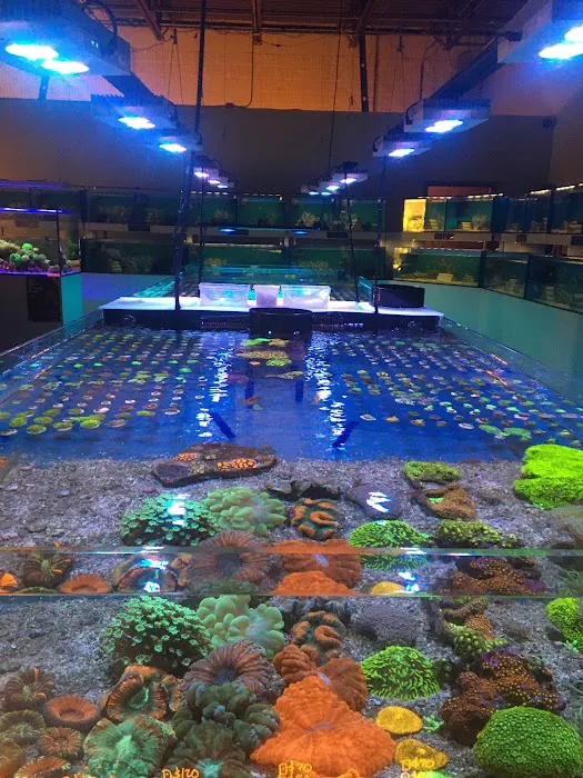 ReefCo Picture 10