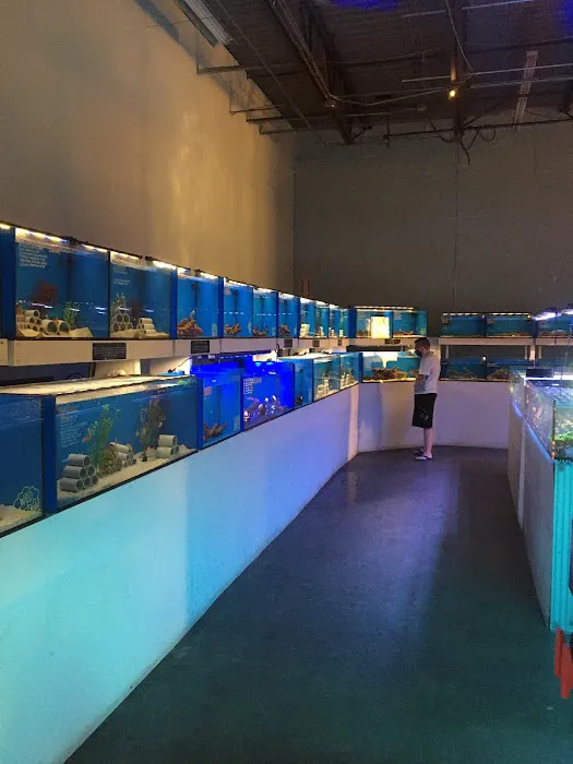 ReefCo Picture 4