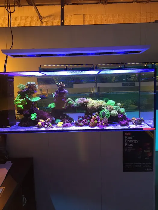 ReefCo Picture 8