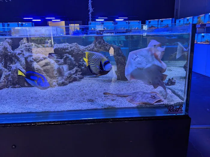 ReefCo Picture 5