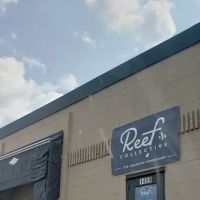 ReefCo ico