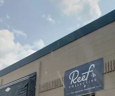 ReefCo
