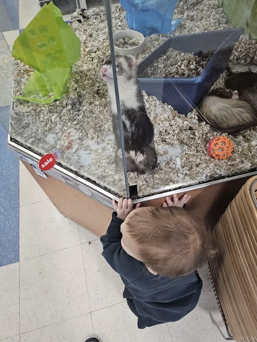 Petco Picture 9