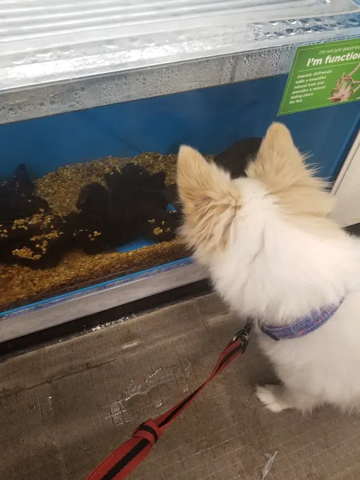 Petco Picture 6