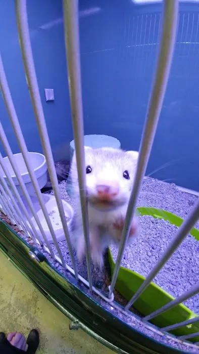 Atlas Pet Supply Picture 1