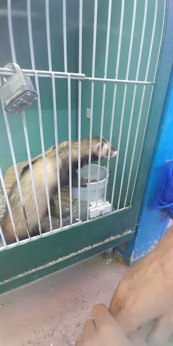 Atlas Pet Supply Picture 6