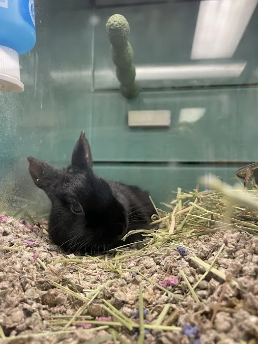 Atlas Pet Supply Picture 3