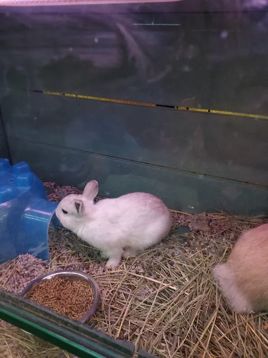 Atlas Pet Supply Picture 9