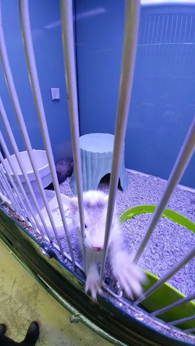 Atlas Pet Supply Picture 2