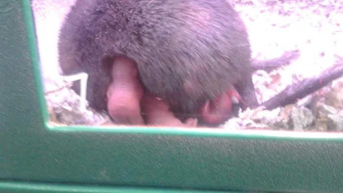 Atlas Pet Supply Picture 10