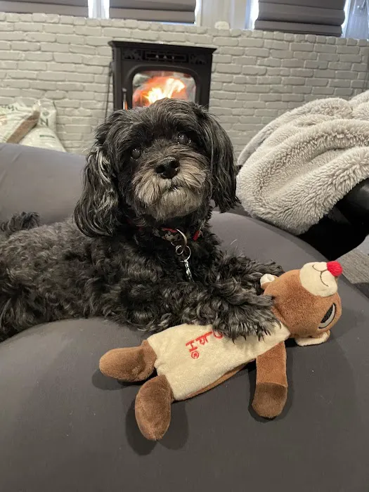 Pieper Veterinary Stratford Picture 8