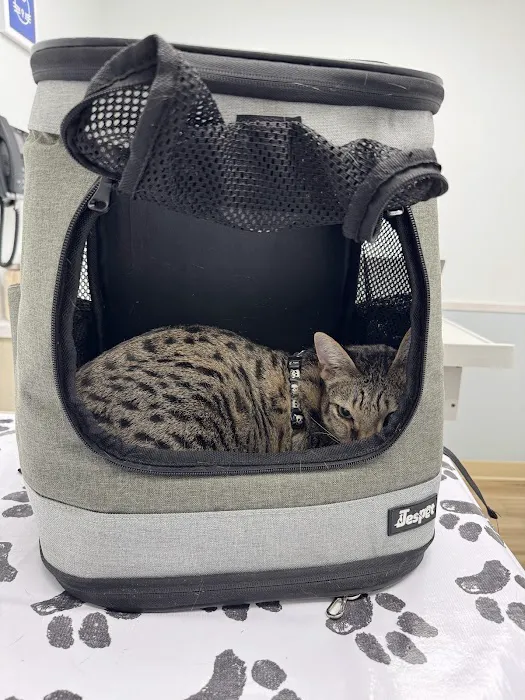 Pieper Veterinary Stratford Picture 3