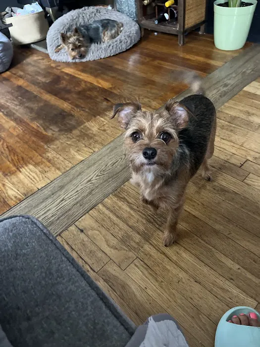 Pieper Veterinary Stratford Picture 2