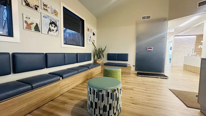 Pieper Veterinary Stratford Picture 9