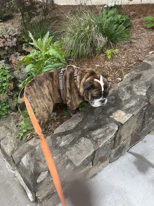 Pieper Veterinary Stratford Picture 6