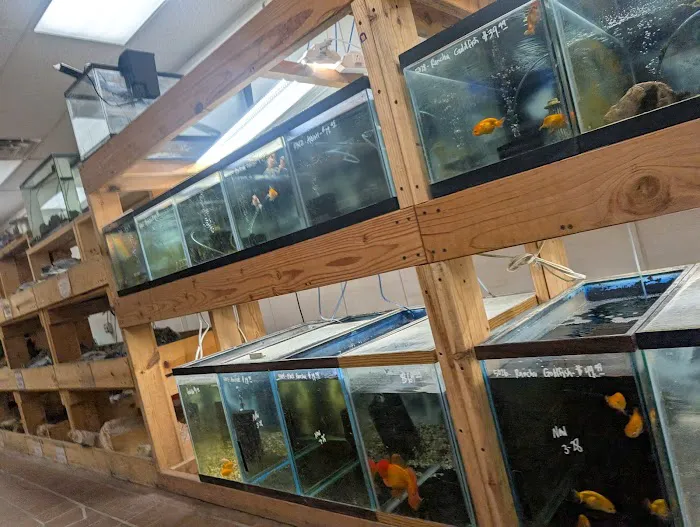 Quality Aquatics Pet Shop Picture 2