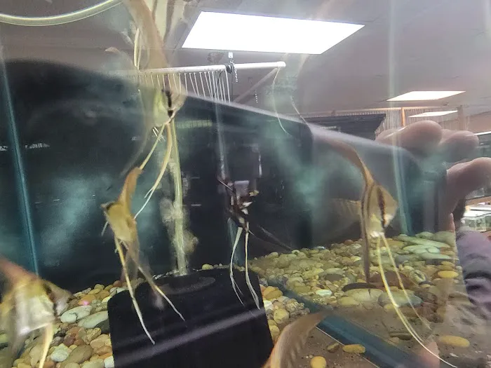 Quality Aquatics Pet Shop Picture 3