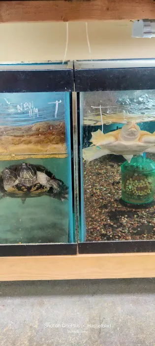 Quality Aquatics Pet Shop Picture 5