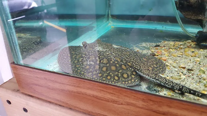 Quality Aquatics Pet Shop Picture 6