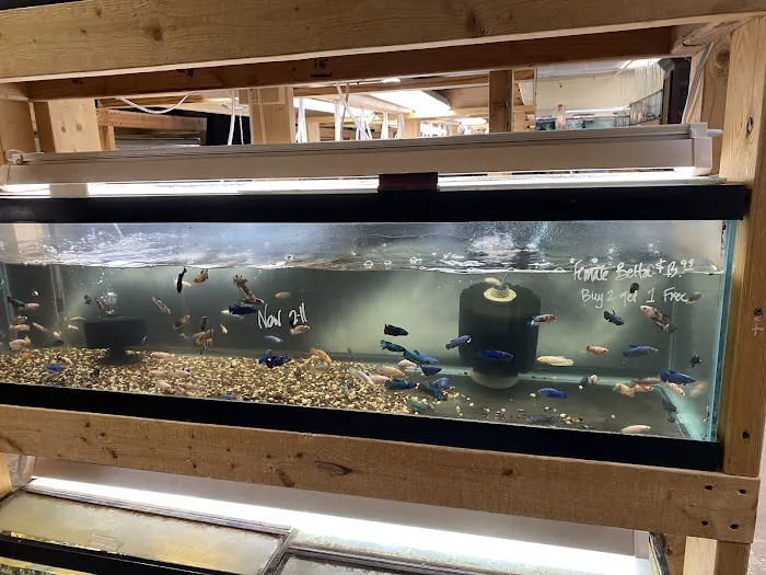 Quality Aquatics Pet Shop Picture 9