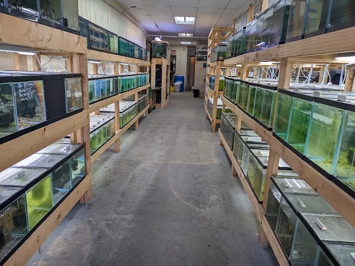 Quality Aquatics Pet Shop Picture 10