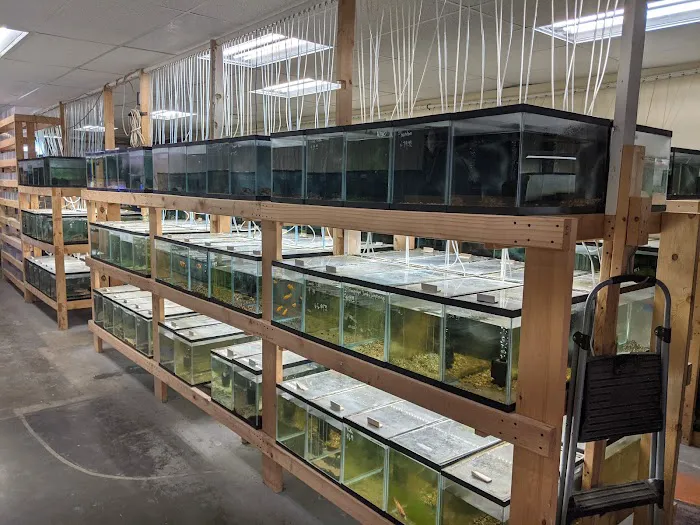 Quality Aquatics Pet Shop Picture 1