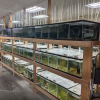 Quality Aquatics Pet Shop ico
