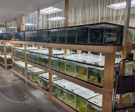 Quality Aquatics Pet Shop