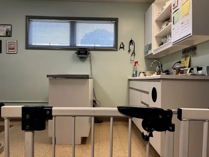 Stratford Animal Hospital Picture 4