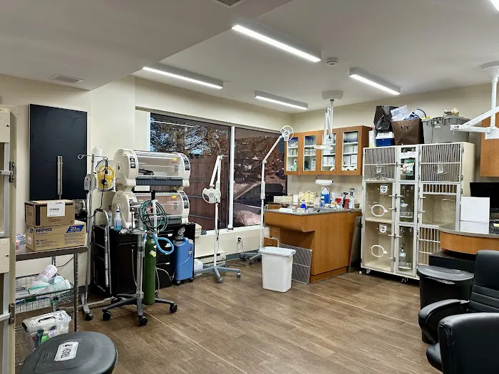 Veterinary Center for Birds & Exotics Picture 2