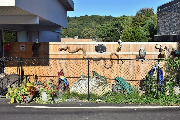 Veterinary Center for Birds & Exotics Picture 5