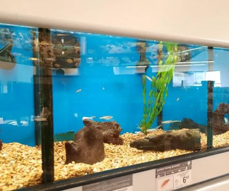 Petco