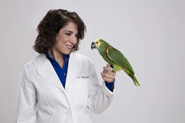 LAURIE HESS DVM - EXOTIC PET VET Picture 2