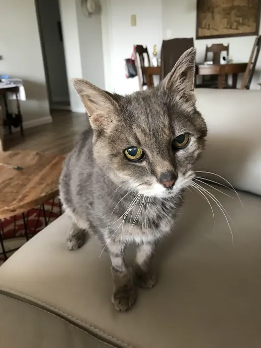 Fine Animal Hospital Picture 1