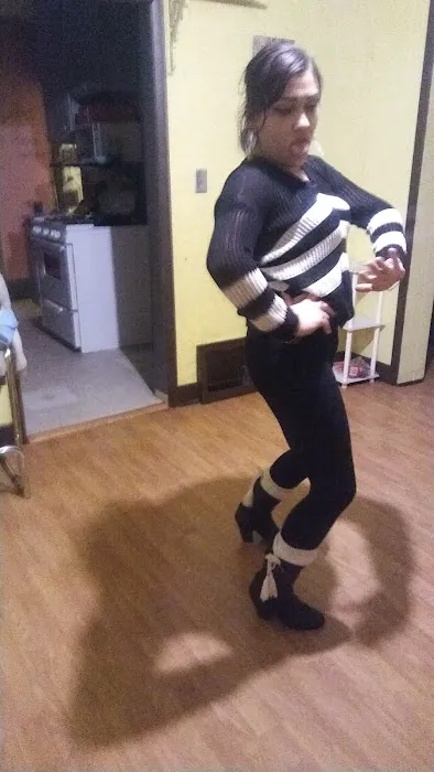 The Gourmet Dog Bakery Picture 6