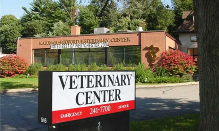 Katonah Bedford Veterinary Center Picture 2
