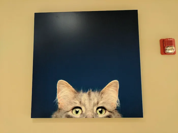 Katonah Bedford Veterinary Center Picture 4