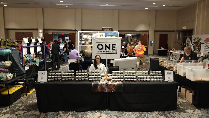 One Love Tarantulas Picture 3