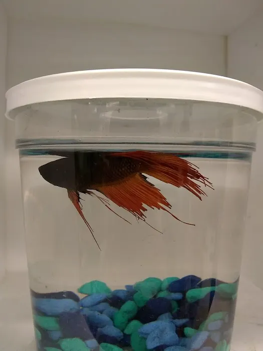 Pet Supplies Plus Minneapolis Picture 7