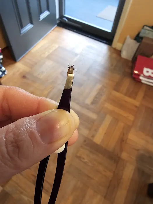 Veterinary Care of Bedford Picture 3