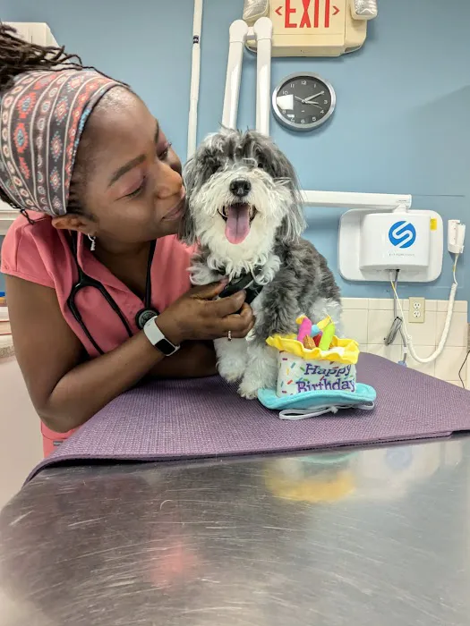 Veterinary Care of Bedford Picture 6