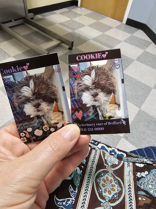 Veterinary Care of Bedford Picture 4