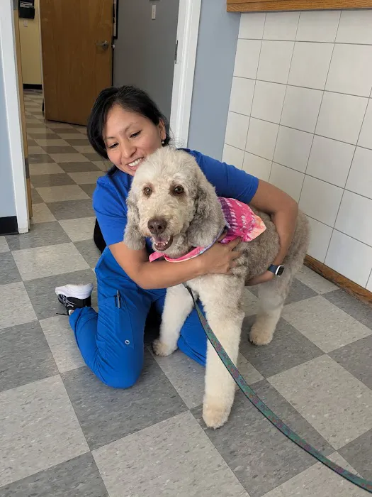 Veterinary Care of Bedford Picture 5