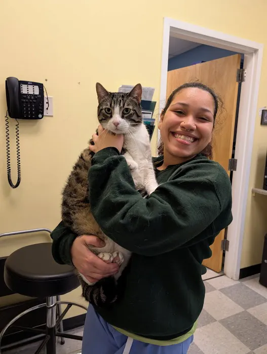 Veterinary Care of Bedford Picture 7