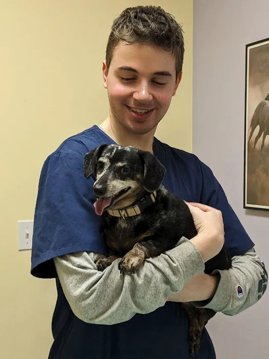 Veterinary Care of Bedford Picture 8