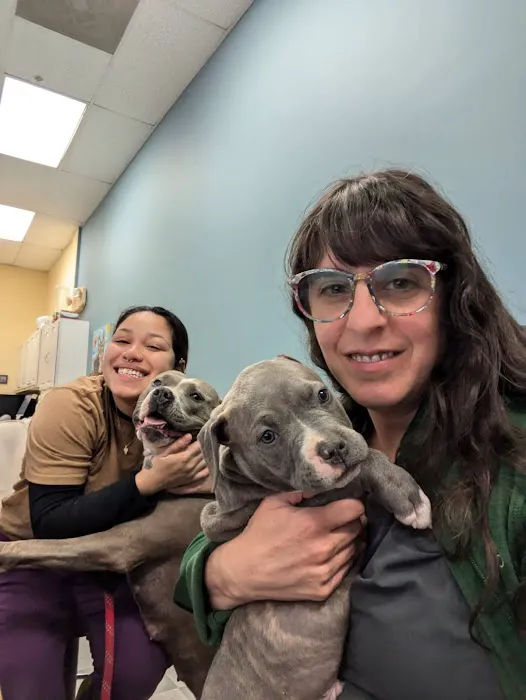 Veterinary Care of Bedford Picture 10