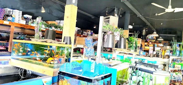 Aqualand Aquarium Center Picture 2